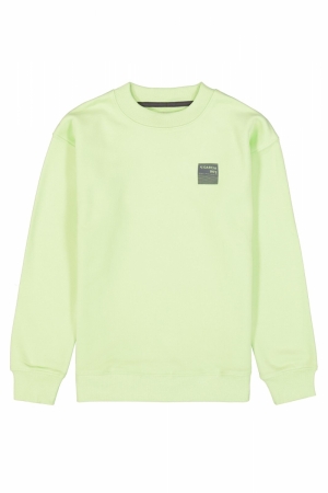  8668 GREEN LIME