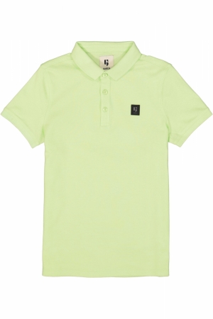  8668 GREEN LIME